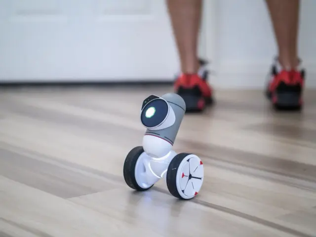 Robot Decision Making