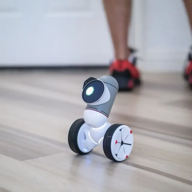 Robot Decision Making