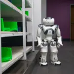 Stereo Vision for Robots